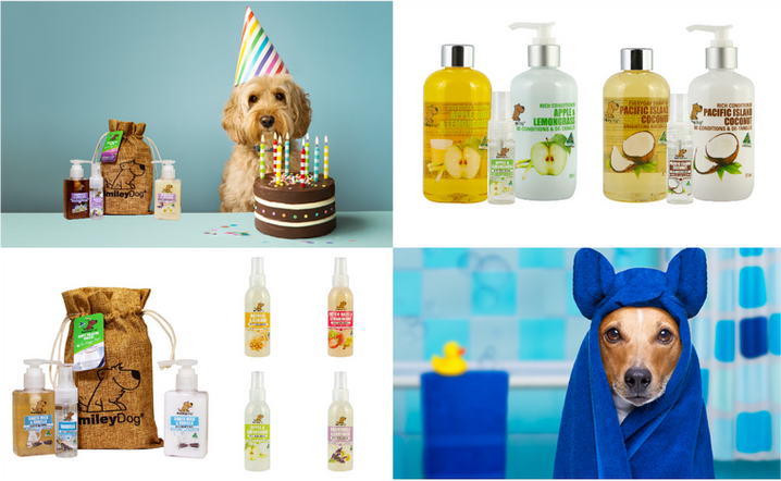 Dog shampoo gift