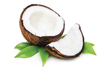 Coconut