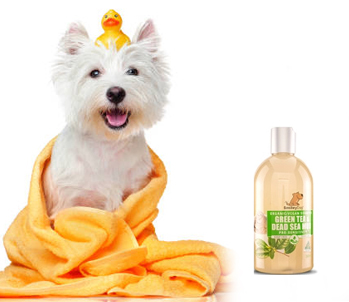 Pet Shampoos