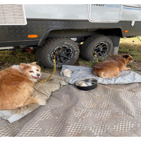 Pet Lovers travelling around Australia the Avida Way image